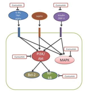 Click on image to zoom Figure 2