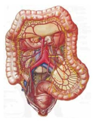 Click on image to zoom Figure 32