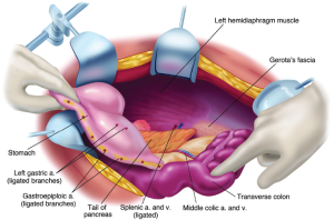 Click on image to zoom Figure 9