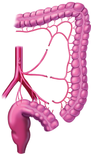 Click on image to zoom Figure 21
