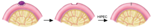 Click on image to zoom Figure 24