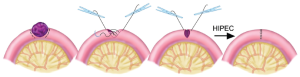 Click on image to zoom Figure 25