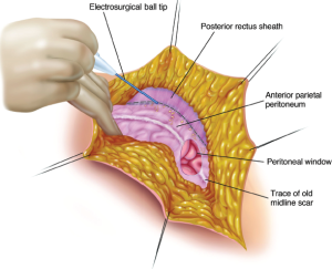Click on image to zoom Figure 5