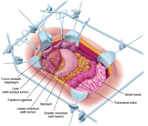 Click on image to zoom Figure 7