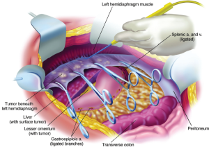 Click on image to zoom Figure 8