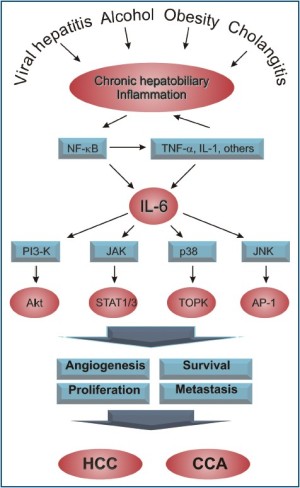 Click on image to zoom Figure 1