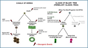 Click on image to zoom Figure 2
