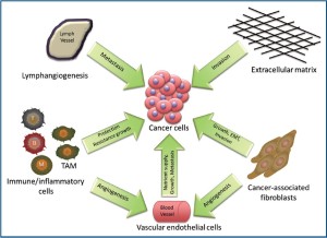 Click on image to zoom TGC-2011-08-figure1.jpg