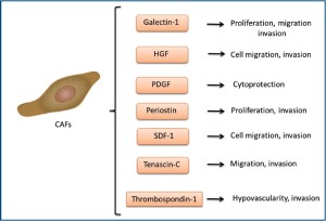 Click on image to zoom TGC-2011-08-figure3.jpg