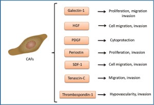 TGC-2011-08-figure3.jpg