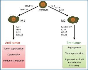 Click on image to zoom TGC-2011-08-figure4.jpg
