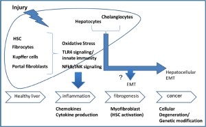 Click on image to zoom Figure 1