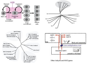 Click on image to zoom Figure 1