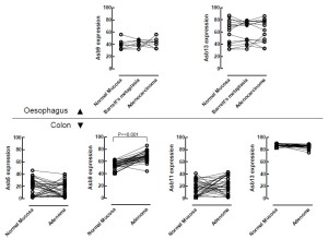 Click on image to zoom Figure 6