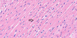 Click on image to zoom