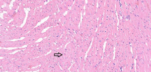 Click on image to zoom