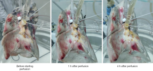 Click on image to zoom