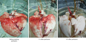 Click on image to zoom