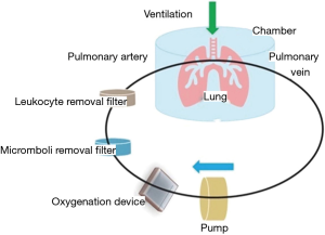 Click on image to zoom