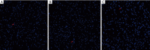 Click on image to zoom