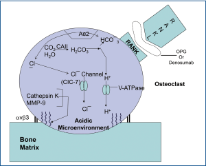 Click on image to zoom