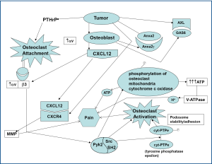 Click on image to zoom