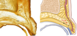 Click on image to zoom