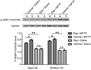 Click on image to zoom