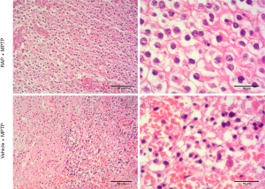 Click on image to zoom