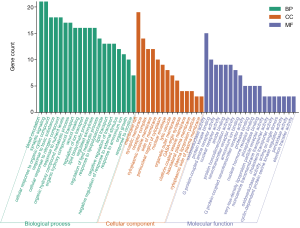 Click on image to zoom