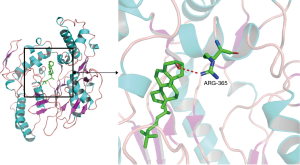 Click on image to zoom