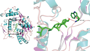 Click on image to zoom