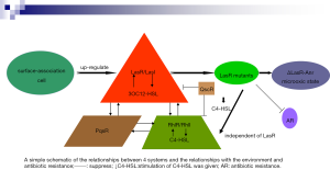 Click on image to zoom