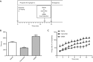 Click on image to zoom