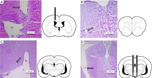 Click on image to zoom