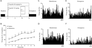 Click on image to zoom