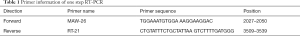 Click on image to zoom Table 1