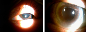 Click on image to zoom