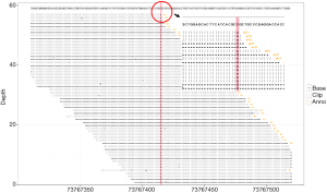 Click on image to zoom