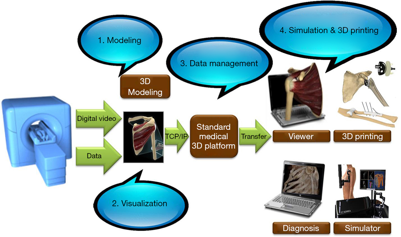 Orthopaedic 3d Printing And Simulation Lim Annals Of Joint