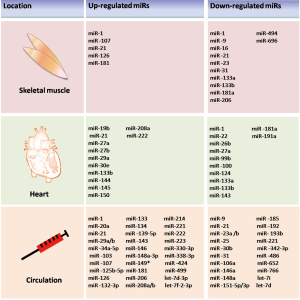 Click on image to zoom