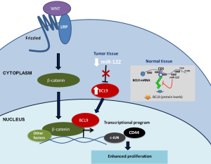 Click on image to zoom