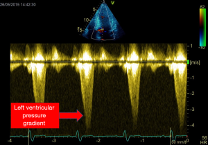 Click on image to zoom