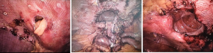 Click on image to zoom