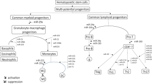 Click on image to zoom