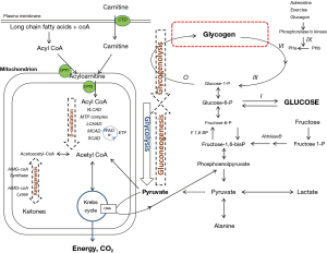 Click on image to zoom