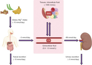 Click on image to zoom