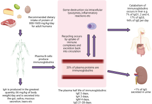 Click on image to zoom