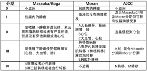 Click on image to zoom 表1
