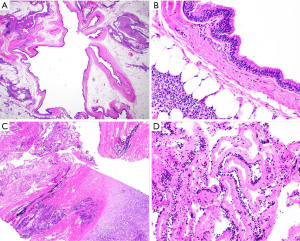 Click on image to zoom